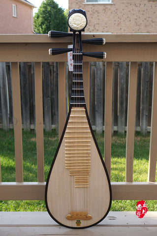 PROFESSIONAL PREMIUM ROSEWOOD PIPA WITH CASE