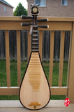PROFESSIONAL PREMIUM ROSEWOOD PIPA WITH CASE
