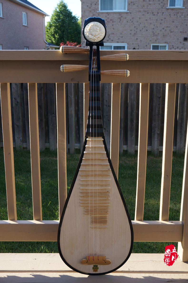 PROFESSIONAL HARD WOOD PIPA WITH CASE – Music of May Ltd