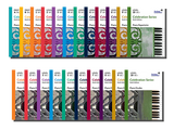 Complete 22-Book Celebration Series® Repertoire and Etudes Set